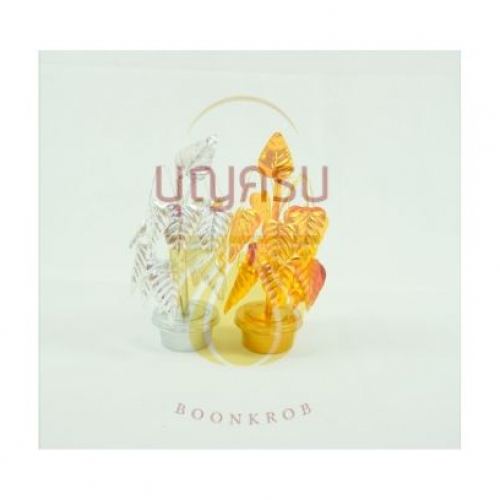 อื่นๆ - โพธิ์กระดาษ 2 